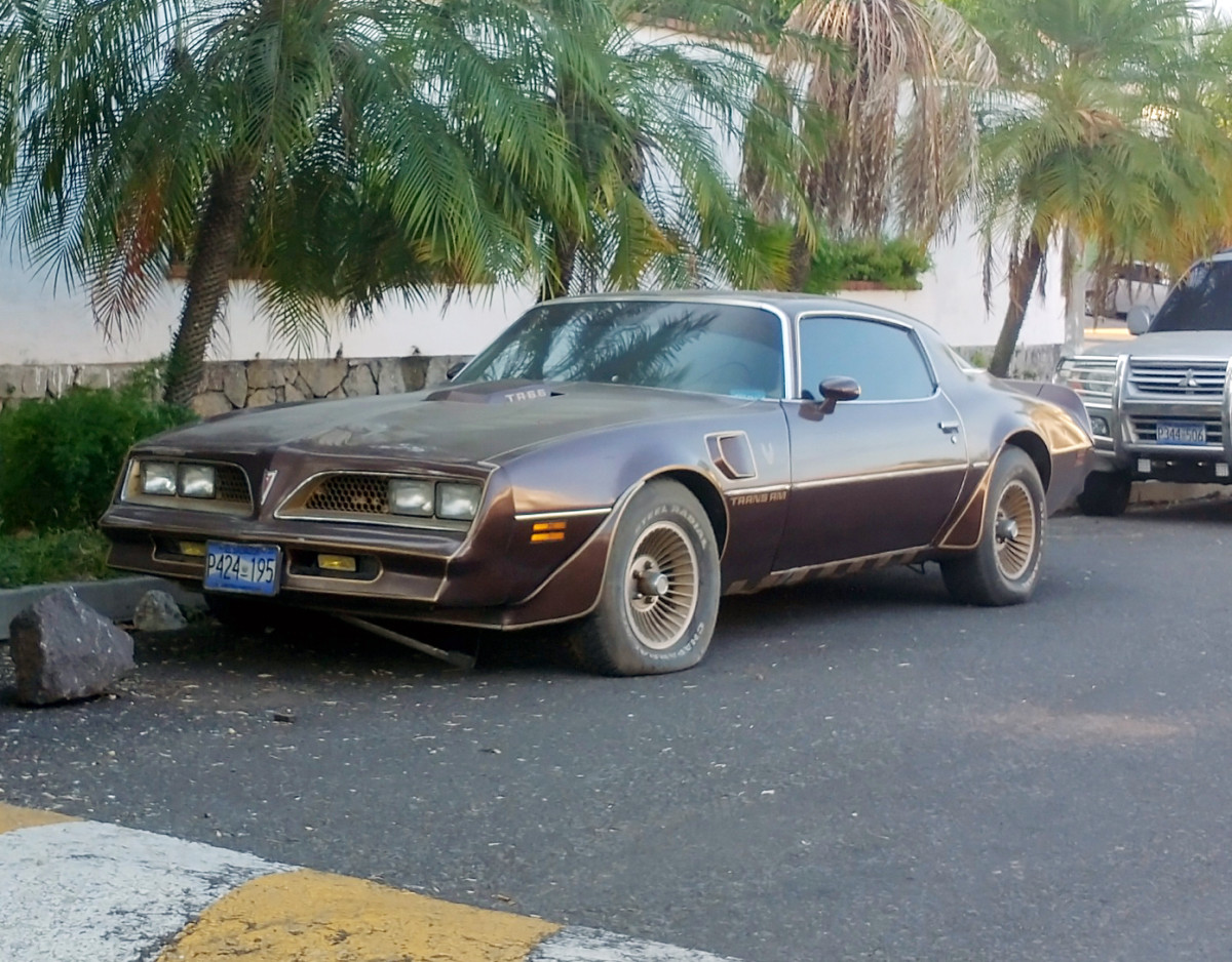 1977 Pontiac Firebird Trans Am